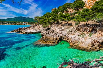 Prachtig uitzicht op de baai van Canyamel, kustlijn op Mallorca van Alex Winter