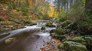 Ardennen van Jan Heijmans