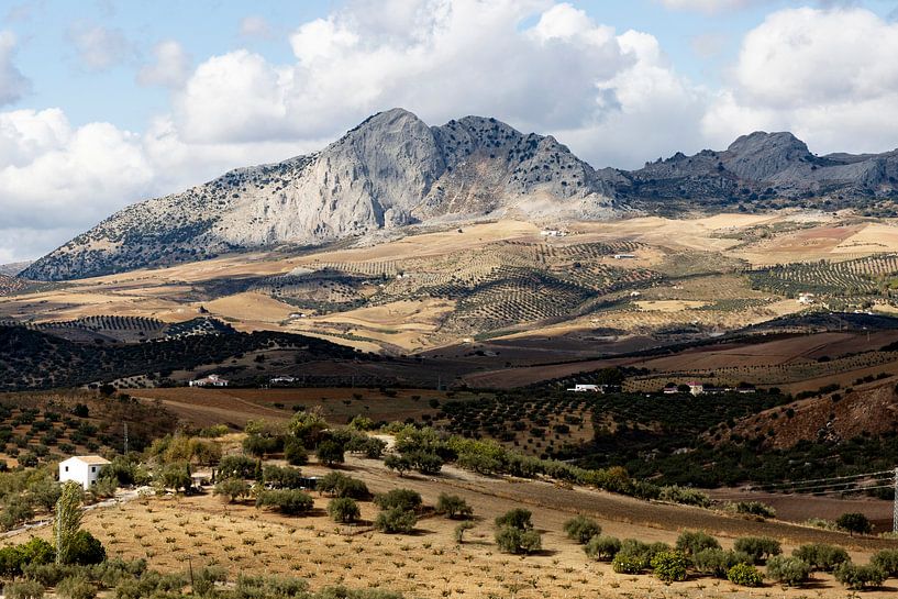 Spanien Landschaft mit Bergen und Olivenbäumen von Marianne van der Zee