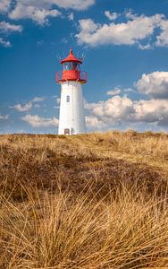Lighthouse List-West in het natuurgebied Ellenbogen Peninsula, Sylt