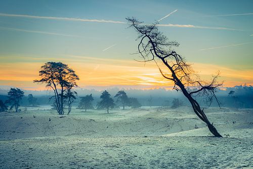 Stuivende zandduinen en silhouetten in natuurgebied bij zonsopkomst