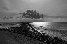 La côte des Wadden de Terschelling sur Ton Ellenbroek
