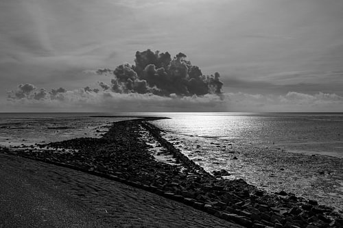 La côte des Wadden de Terschelling