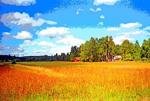 Sommer in Schweden