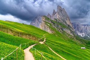 Seceda-Bergpfad zu den dramatischen Felsen in den Dolomiten
