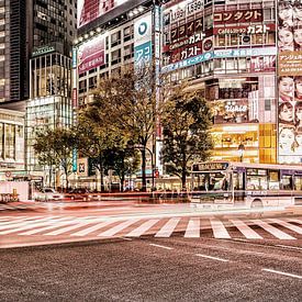 Shibuya Crossing van Edwin Benschop