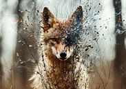 Fox: Whispers of the Wilderness by Ralf van de Sand thumbnail