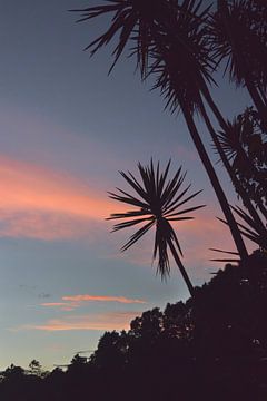 Nuages roses et palmiers | Pastel | Nature | San Jose del Pacifico | M sur Kimberley Helmendag