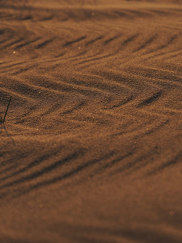 Spel van schaduw en warm zonlicht op het strand