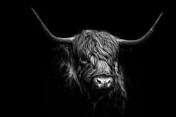 Schottische Highlander