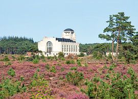Radio Kootwijk in de paarse heide - Veluwe van Arnold Voordewind