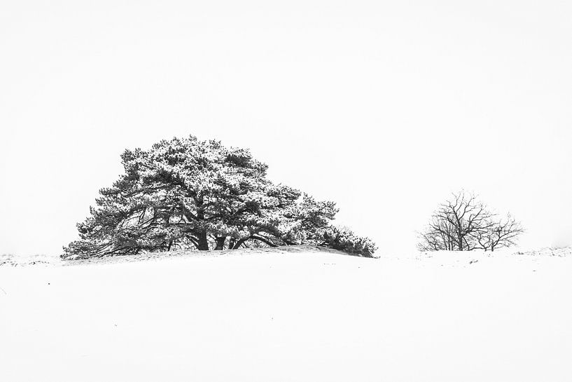 Schneelandschaft von Martzen Fotografie