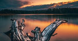 Abendstimmung am Großen Ostersee. Natur-Skulptur von Pitkovskiy Photography|ART