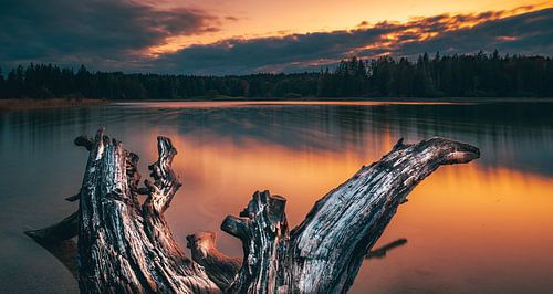 Avondsfeer aan de Grote Ostersee. Natuursculptuur