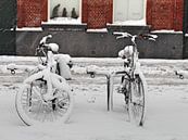 Two bikes, three kings by Marc Van Achte thumbnail