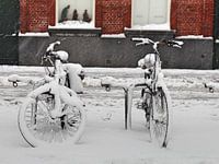 Twee fietsen, drie koningen