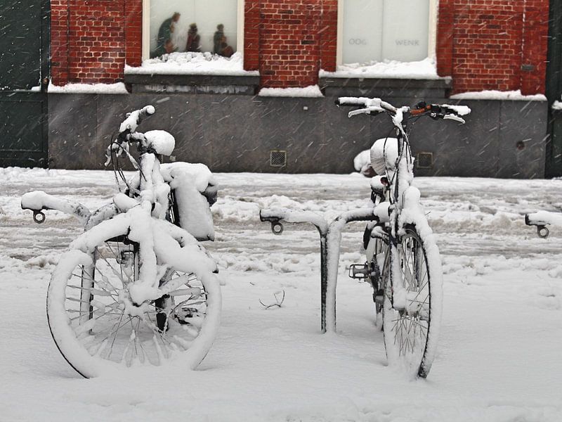 Two bikes, three kings by Marc Van Achte