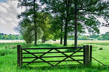 Wortelkolonie Brabant by Mario Brussé Fotografie