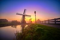 Petit moulin à vent sur le Zaanse Schans