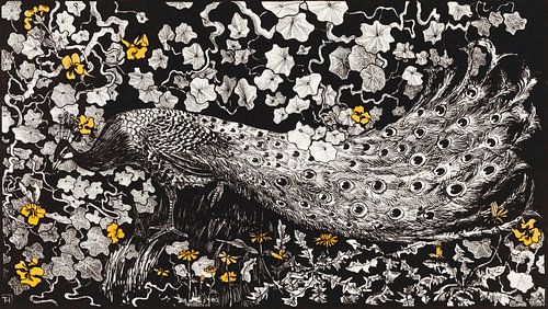 Pauw, Theo van Hoytema