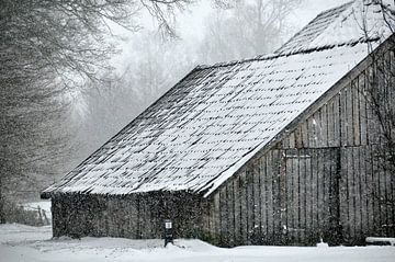 Winter in de Achterhoek van Arno Wolsink