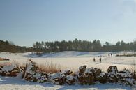 Schlittschuhlaufen auf dem Eis in der Bergse Heide von Sabina Meerman Miniaturansicht