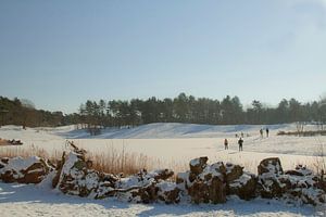 Schlittschuhlaufen auf dem Eis in der Bergse Heide