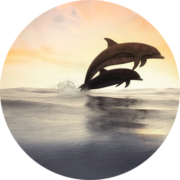 Springende Dolfijnen in silhouet van Arjen Roos