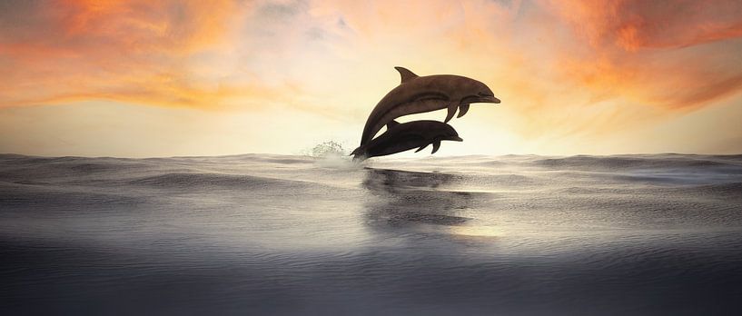 Springende Delphine in Silhouette von Arjen Roos