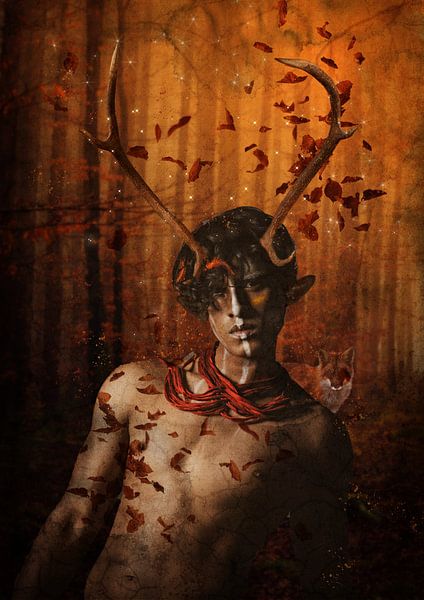 In the deep forest by Lucia