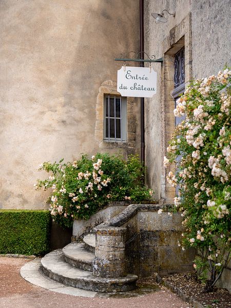 Chateau France by Rebecca de Graaf