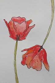 Radiant Tulip bloom  sur Anja Zinken Bertens