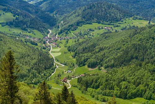 Rondom de Belchen in het Zwarte Woud