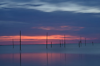 Fishing rods at sunset