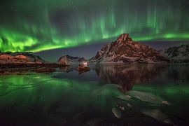 noorderlicht von peter tulner