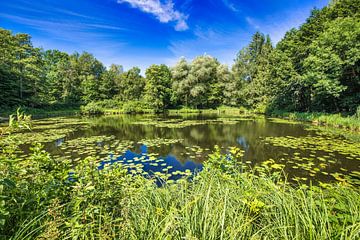 Beau lac par une belle journée d'été sur pixxelmixx