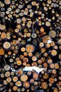 Rustiek hout van Ginkgo Fotografie thumbnail