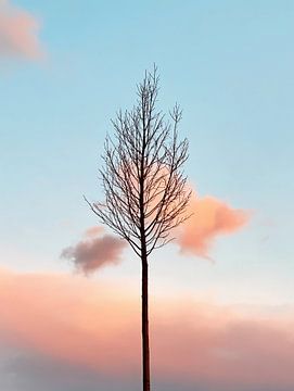 Fragmente der Realität