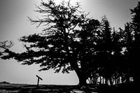 Rhodes B&W