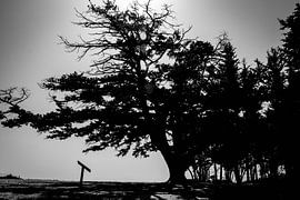 Rhodes B&W sur Ad van Beek