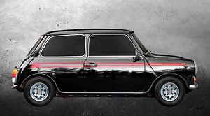 Mini 1000 Super