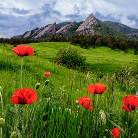 Boulder Colorado Landscape Print, Boulder Flatirons &amp ; Red Poppies Photo sur Daniel Forster