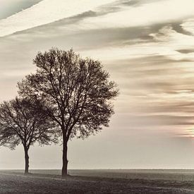 Dawn on Dutch Field by Ina Bloemendal