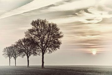 Dawn on Dutch Field by Ina Bloemendal
