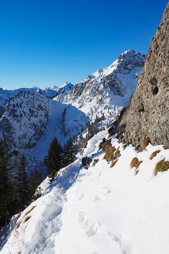 De Ammergauer Alpen: een natuurpark vol rust, ongerepte natuur en indrukwekkende berglandschappen - ideaal voor natuur- en bergfotografie.