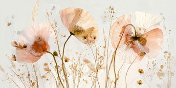 Delicate poppies in the light no. 3 by Studio BB