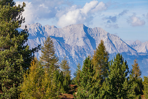 Großer Bettelwurf mountain, with the Karwendel range and woodland