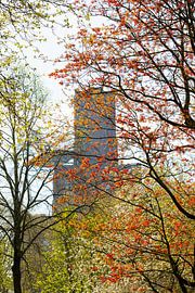 De Inktpot in Utrecht, with trees in bloom in spring colours by André Blom Fotografie Utrecht