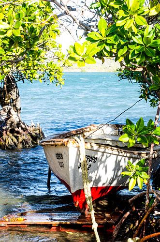 Vissersboot Curacao van Joke Van Eeghem