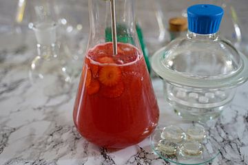 Cocktail Tonic au gin et aux fraises dans une flasque sur Babetts Bildergalerie